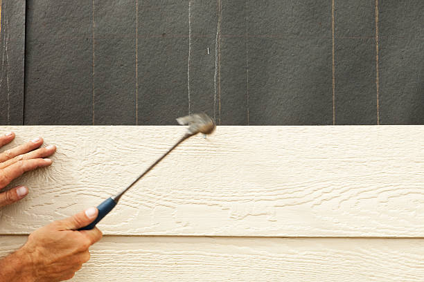 Trusted Anacoco, LA Siding Experts